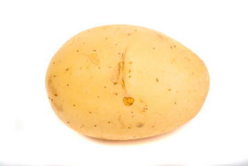 potato on white background