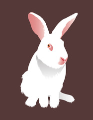 White rabbit sitting on a chocolate background