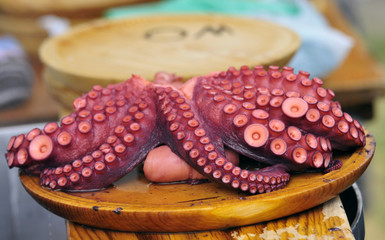 pulpo
