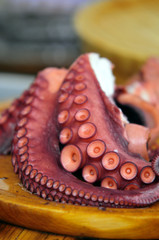 pulpo