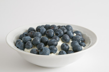 Blaubeeren - Heidelbeeren