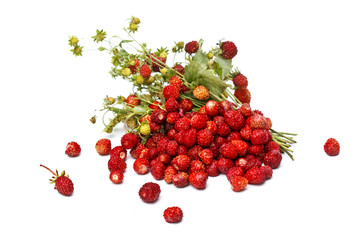 ripe strawberries on white background