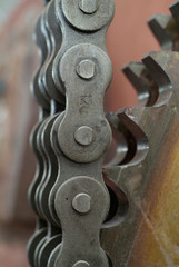 Chain and cogwheel
