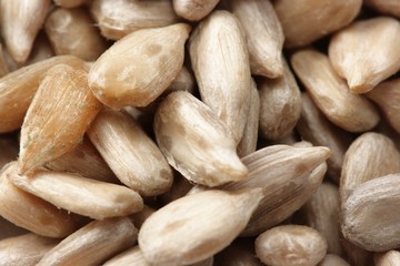 Dried sunflower seeds