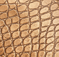 Picture of a genuine leather texture