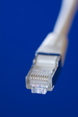 network cable