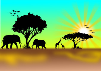 Fototapeta na wymiar Afrika mit Tieren und Sonnenaufgang