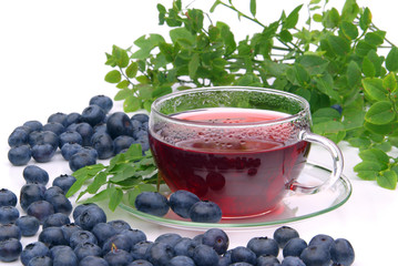 Tee Heidelbeere - blueberry tea 14