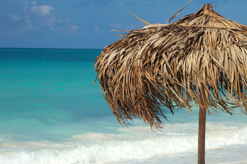 Fototapeta na wymiar on a tropical island, travel background, cuba