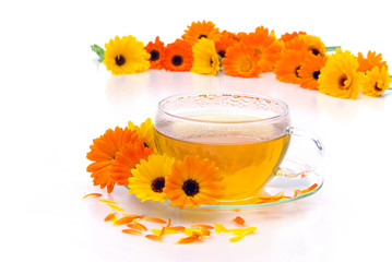 Tee Ringelblume - tea marigold 04