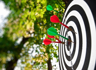 Target with the thrust darts