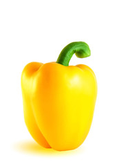 bulgarian  pepper