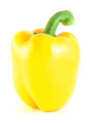 bulgarian  pepper