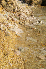 Fototapeta na wymiar Kiesel am Strand - pebble on the beach 38