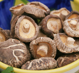 shiitake