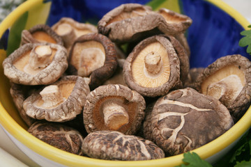 shiitake