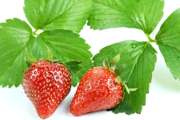Strawberry with Leaf