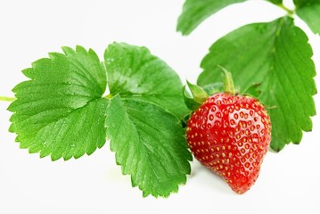 Strawberry with Leaf