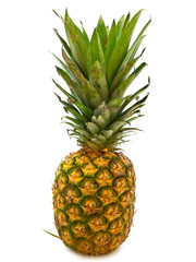 Fototapeta premium pineapple