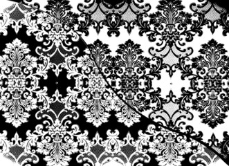 Lace © Phase4Photography