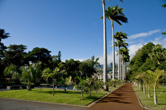 jardin tropicale