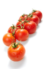 Fresh Vegetables
