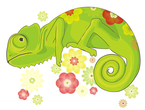 Chameleon and flowers