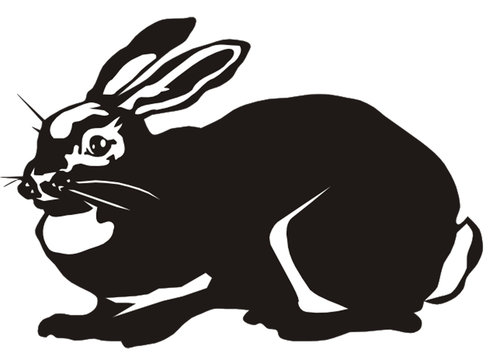 recommend clip art: rabbit on the white