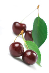 Cherry; objects on white background