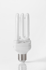 light bulb