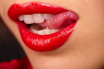 Fototapeta premium scarlet sponges