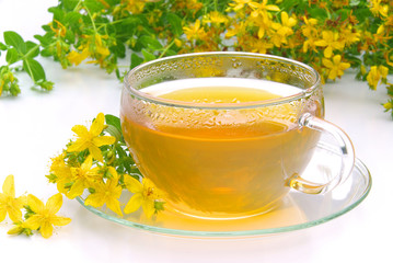 Tee Johanniskraut- tea St Johns wort 07