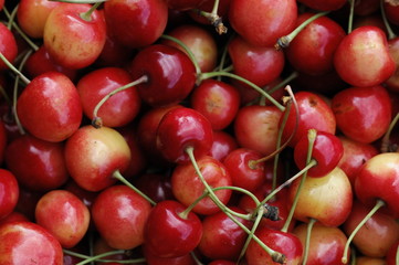 cherry