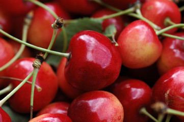 cherry