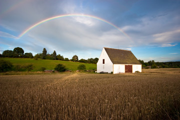 Regenbogen über Kornfeld © Jan Schuler