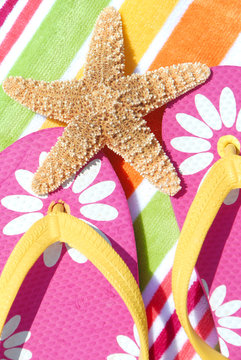 Starfish on flipflops