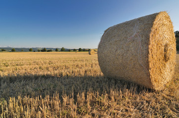 Strohballen perspektivisch
