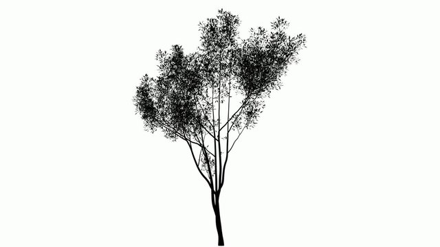 Animated tree