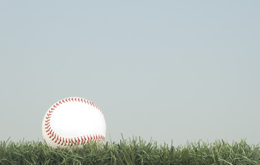 baseball in the grass