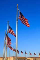 US flags near Washington Monument, Washington DC