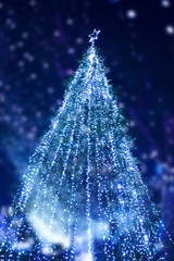 クリスマスツリー