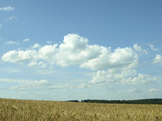 Himmel über Ähren