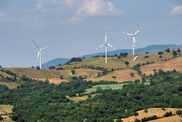 pali eolici