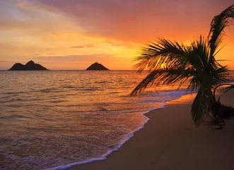 Pazifischer Sonnenaufgang am Strand von Lanikai in Hawaii © tomas del amo