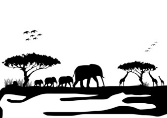 Landschaft in Afrika mit wilden Tieren
