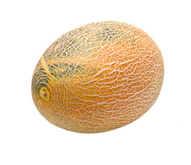melon isolated on white background