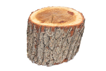 Naklejka premium Wooden stump