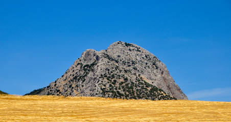 Montaña solitaria en campo de trigo