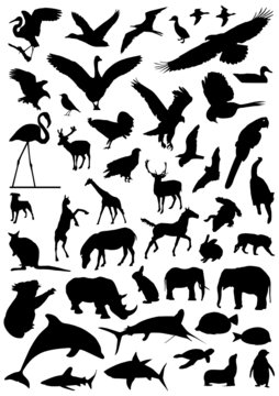 collection of animal vector 2