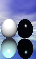 oeuf blanc et oeuf noir